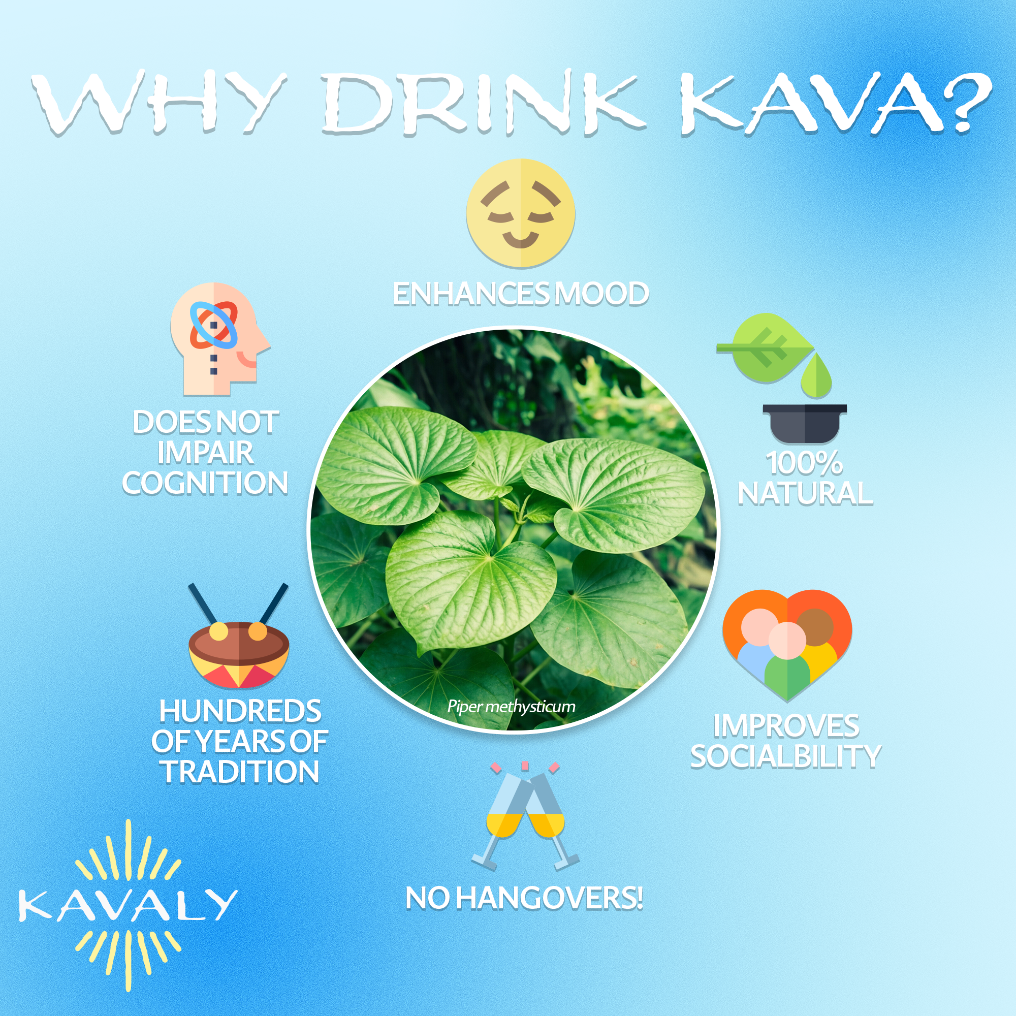Kavaly Micronized Kava Powder